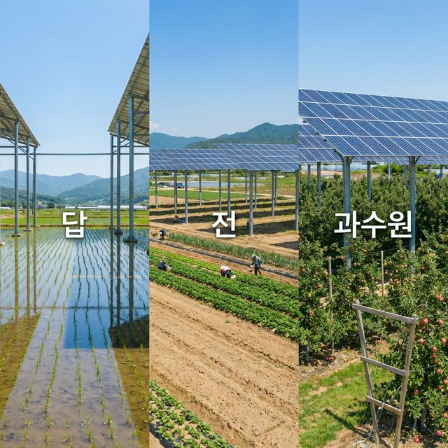내 땅에도 영농형 태양광 설치 가능할까? (농지/전/답/과수원 기준)